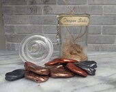 Dragon Scales Magical Creatures Sample Specimen Glass Apothecary Jar Witch and Wizard Prop Collectible