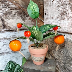 飛行船プラムの魔法の植物 | 鉢植えのハーブ学レプリカ | 魔女と魔法使いの小道具コレクション