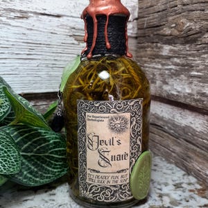Devil&#39;s Snare Potion | Herbology Magic Potion Bottle | Glass Apothecary Decor | Witch & Wizard Prop Collectible