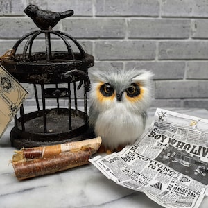 May include: A white and gray owl figurine with orange eyes sits on a newspaper with the headline "The Boy Who Lived". A vintage birdcage with a bird on top is in the background.