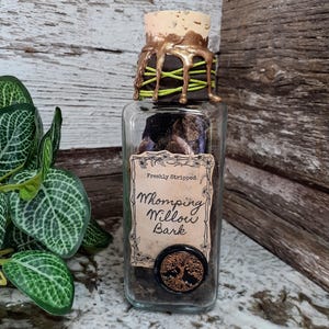 Whomping Willow Bark | Magic Herbology Specimen Potion Bottle | Glass Apothecary Bottle | Witch & Wizard Prop Replica Collectible