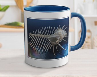 Seashell Accent Coffee Mug, Nautical Coffee Mug, Sea Shell Mug, Shell Mug, Seashell Photo Print, Maritime Mug, Seashell Coffee Cup