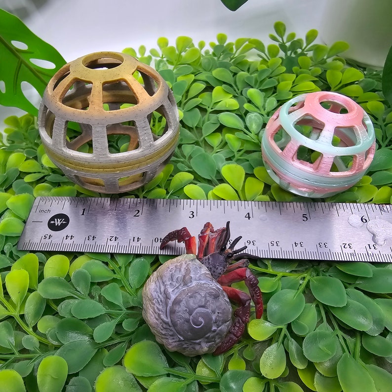 May include: Two colorful plastic ball toys for hermit crabs, one is yellow and white, the other is pink and white. A hermit crab is sitting on a green surface with a ruler.