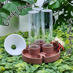 Hermit Crab Gravity Feeder: 3-Section Food Dispenser and Vacation Feeder