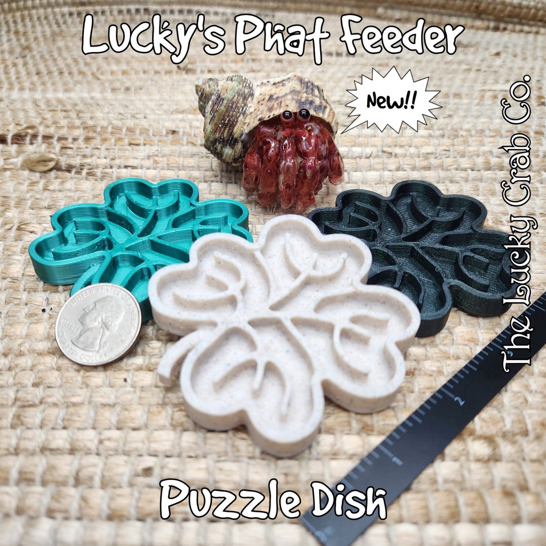 Picture of Hermit Crab Puzzle Feeder Hermit Crab Food Dish for Fat 3D Printed the ...