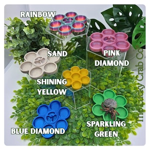 3D Printed Hermit Crab Feeding Dish: Original Divided Flower Design image 4