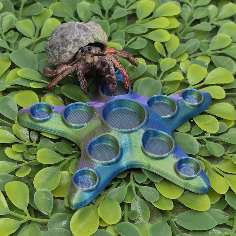 May include: A blue and green iridescent starfish-shaped fidget toy with multiple dimples. A small hermit crab is sitting on the toy.