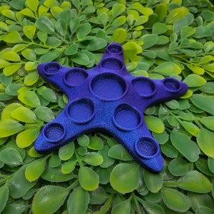 Starfish Hermit Crab Oil Feeder Dish Enchanted Sea
