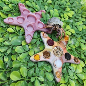 May include: Two pink and orange starfish-shaped silicone molds with multiple circular indentations. The larger mold has a smooth surface and the smaller mold has a textured surface. The smaller mold has various food items in the indentations.
