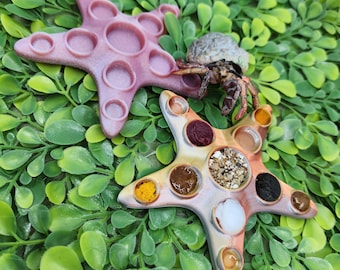 Starfish Hermit Crab Oil Feeder Dish