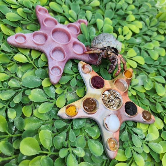 Starfish Hermit Crab Oil Feeder Dish