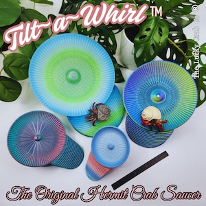 Hermit Crab Saucer Hermit Crab Spinning Disk Hermit Crab Toys Best Hermit Crab Saucer 3D Printed Tilt-A-Whirl 3" 4" 5.5" 7" Diameter