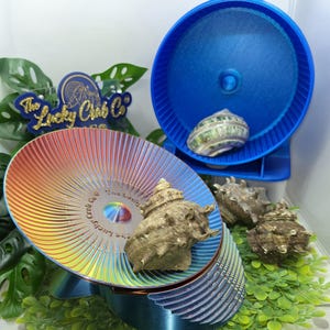 May include: A rainbow-colored circular exercise wheel for crabs with a textured surface and the text The Lucky Crab Co, accompanied by a blue exercise wheel containing a shell, and two additional brown spiky shells placed nearby.