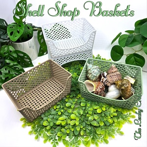 May include: Three plastic storage baskets with a grid pattern. The baskets are white, beige, and green. The green basket is filled with seashells. The text "The Lucky Crab Co." is visible on the right side of the image.