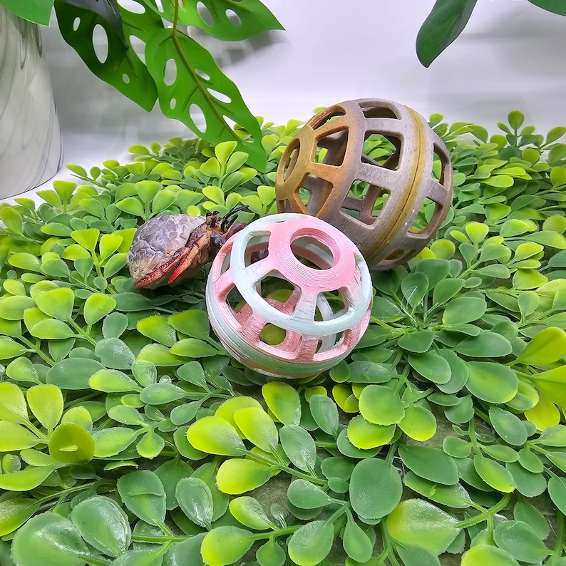 May include: Two colorful plastic hermit crab toys, one pink and green, the other brown and beige, on a bed of green artificial foliage.