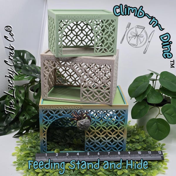 3D Printed Hermit Crab Feeding Stand & Hide: Mid-Century Modern Climb-n-Dine™