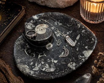 Fossilized Orthoceras Heart Bowl: Ancient Fossil Carving, Crystal & Jewelry Holder
