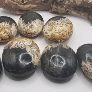 Puede incluir: Ocho piedras de ágata lisas y pulidas, negras y blancas, con patrones de remolino. Las piedras están dispuestas en semicírculo sobre una superficie blanca.