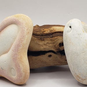 May include: Two smooth, white stones with unique shapes. The larger stone has a heart-shaped indentation and a pink hue. The smaller stone is rounder and has a more uniform white color. Both stones are resting on a piece of driftwood.