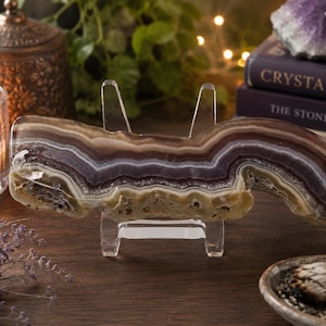 Bacon Agate Freeform (2.66” Wide) – Natural Banded Agate Display Slice with Stand – Earth Tone Crystal Decor
