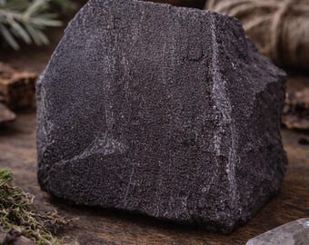 Black Petrified Wood Specimen: Sparkling Quartz Mineralized Fossil