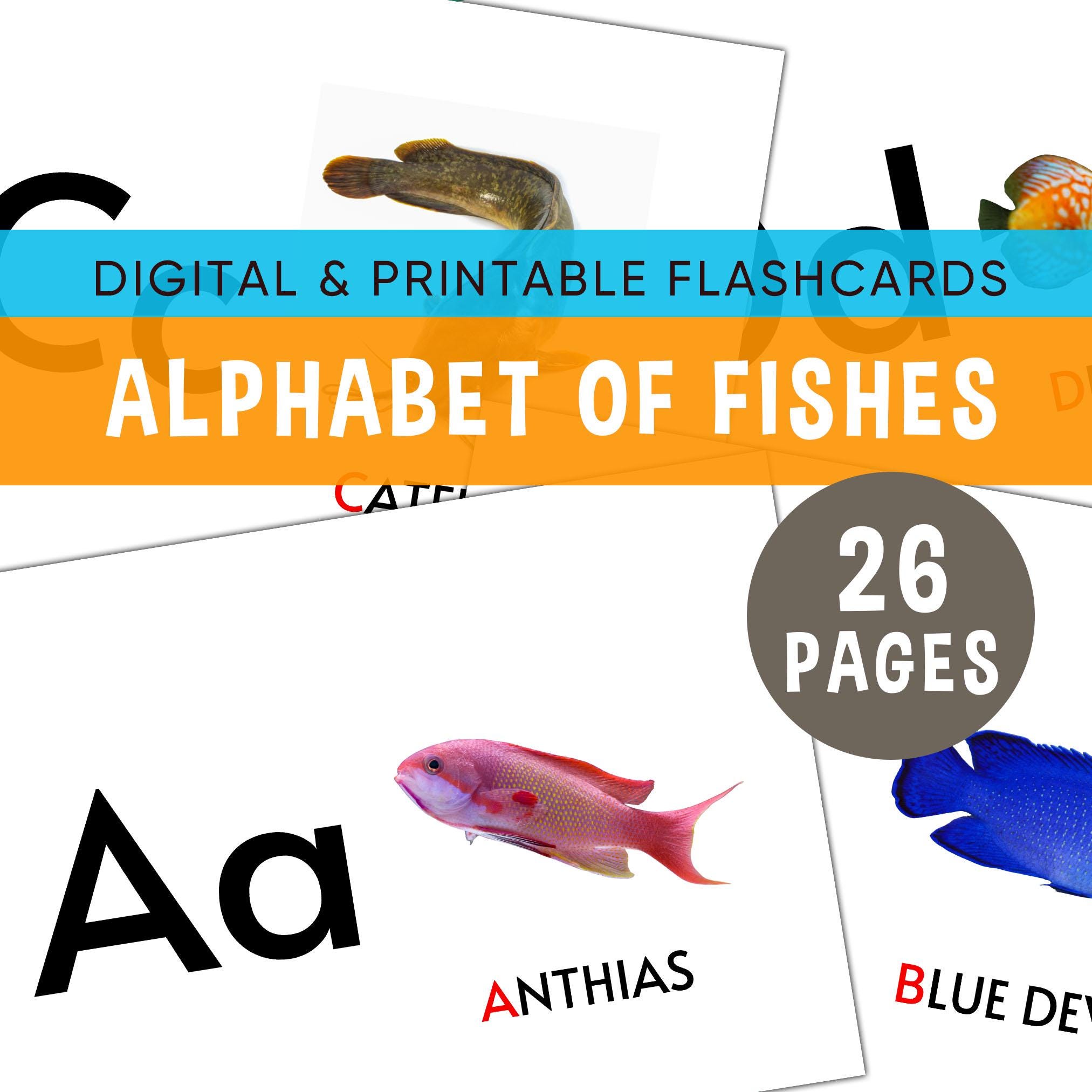 Fish Flashcard, Printable Digital Alphabet Learning Cards (PDF, JPG ...