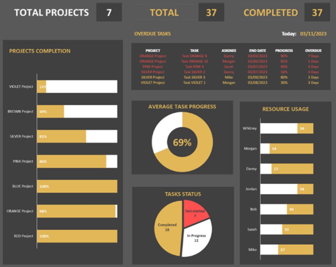 Project Management Dashboards -customizable-re-usable Templates for ...