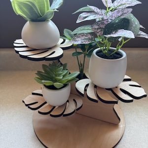 May include: A wooden plant stand with three tiers, each holding a small white pot with a different plant. The stand has a round base and leaf-shaped platforms. The plants include a succulent, a green and white striped plant, and a pink spotted plant.