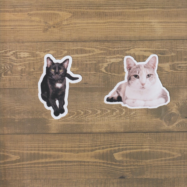 Sticker Custom cut out photo