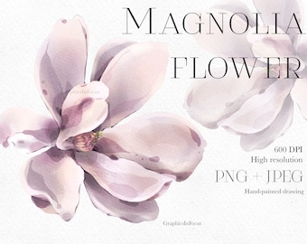Watercolor Pink Magnolia Flower Clipart (PNG, JPEG)