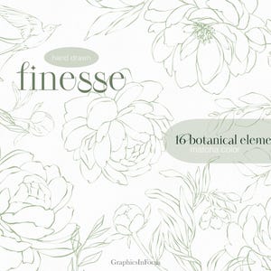 Clipart dessiné à la main de fleurs, dessin au trait, pivoines, roses, couleur matcha, 16 éléments PNG, graphiques haute résolution, utilisation commerciale
