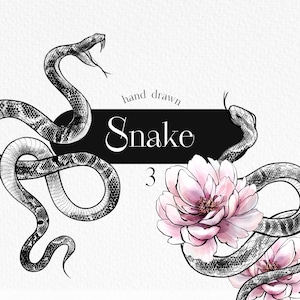 Clipart dessiné à la main de serpent, dessin au trait noir, clipart de serpents, art, 3 dessins PNG, haute résolution, facile à utiliser, commercial à l'aide