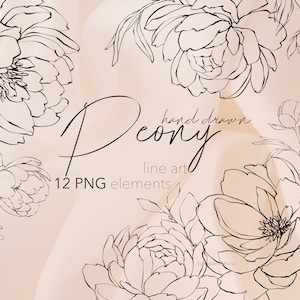 Fleurs de pivoines Super pour faire-part de mariage, téléchargement rapide, clipart dessinés à la main pivoine Clipart t dessin au trait mariage, éléments blancs et noirs