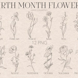 Geboortemaand bloemen Bundel, Gemakkelijk te downloaden, Hoge resolutie, Zwart-witte versies, Geboorte Bloemen PNG, Floral PNG, Botanische clipart