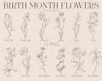 Paquete PNG de flores del mes de nacimiento: Clipart botánico (descarga digital)