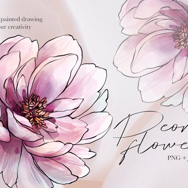 Peony Flower watercolor Clipart Peonies Element Floral collection  Pre design Wedding Clipart Pink flower hand drawn peony PNG