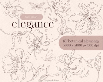 Clipart floral dibujado a mano: peonías, rosas y hojas color burdeos (16 elementos PNG)