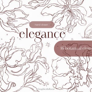 Clipart dessiné à la main de fleurs, dessin au trait de couleur bordeaux, pivoines, roses, feuilles, 16 éléments PNG, haute résolution, utilisation commerciale