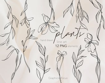 Clipart de arte floral lineal: Plantas dibujadas a mano, eucalipto, olivo (descarga digital PNG)