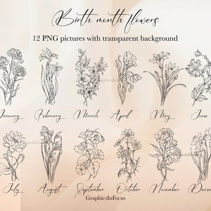 Clipart de fleurs du mois de naissance, dessin au trait dessiné à la main, roses, pivoines, 12 éléments PNG, haute résolution, publicité utilisant jusqu'à 100 pièces