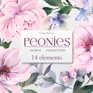 Pfingstrosen Clipart , Aquarell Clipart , Handgezeichnete Clipart , Blumen Clipart , pink Pfingstrose Clipart , Pflanzen Clipart für Hochzeitseinladungen