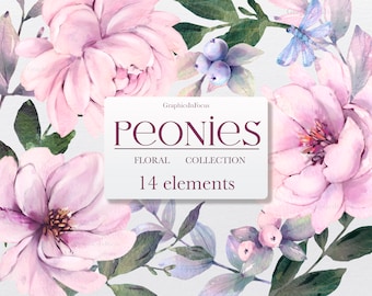 Watercolor Peonies Clipart: Hand-Drawn Pink Flowers (Digital Download)