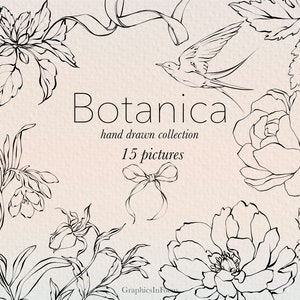 Blumen Hand gezeichnet Clipart, schwarze Linie Kunst, Pfingstrosen, Rosen, Vogel und Bogen, 15 PNG-Elemente, Grafiken mit hoher Auflösung, kommerzielle Verwendung
