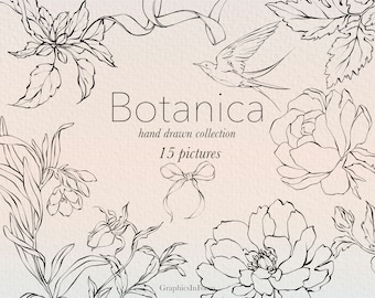 Floral Line Art Clipart: Peonies, Roses, Bird & Bow (15 PNG elements) (Digital Download)