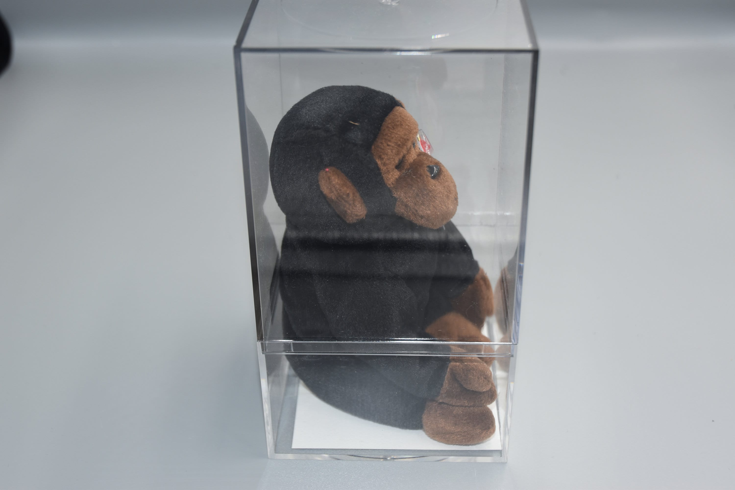 Congo the Gorilla Beanie Baby, Authenticated and Vintage - Etsy