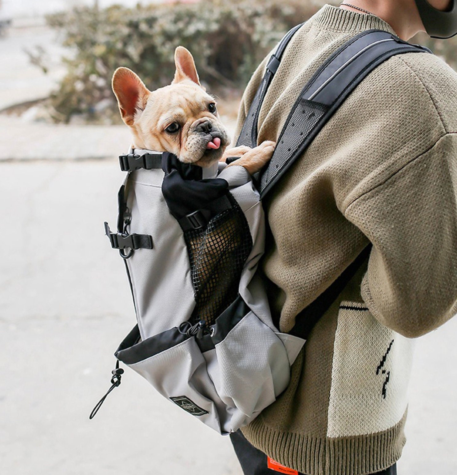 Dog Backpack Carrier Cat Backpack Dog Travel Backpack Dog -  Finland