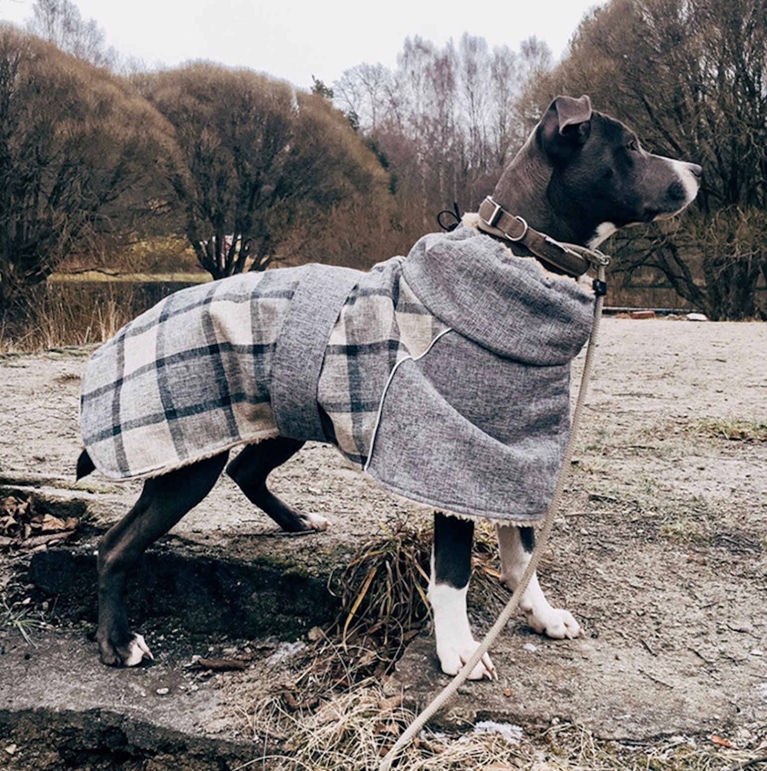 Fleece Dog Jacket 