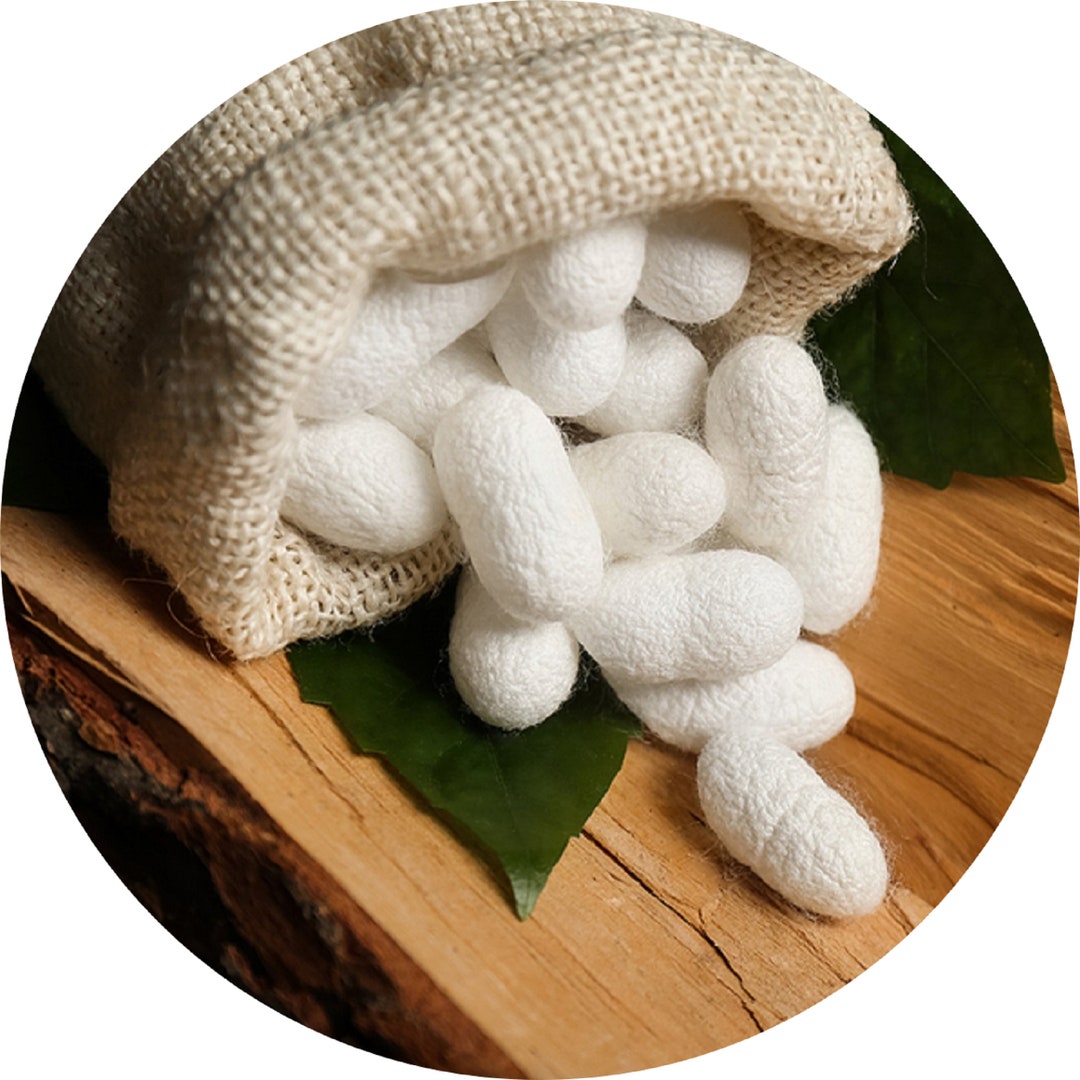 Hydrolyzed Silk Protein. Natural Humectant and Skin Conditioning Agent ...