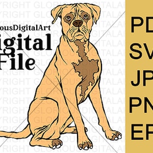 Boxer Hund, Digital herunterladbare Datei, SVG, Pdf, Jpg, Eps, Png, Vektor, Druck auf T-Shirt, Digital Art Hund