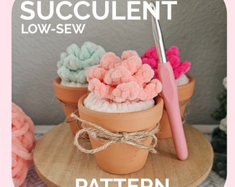 Succulentes | MOTIF AU CROCHET | Téléchargement instantané PDF | Taille basse | Plantes succulentes